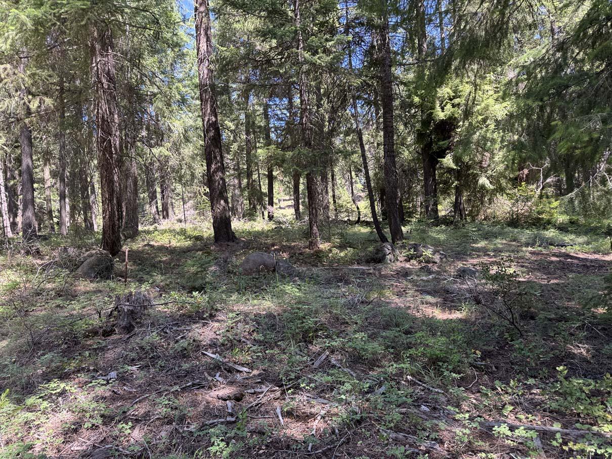 Harriman Park - Land