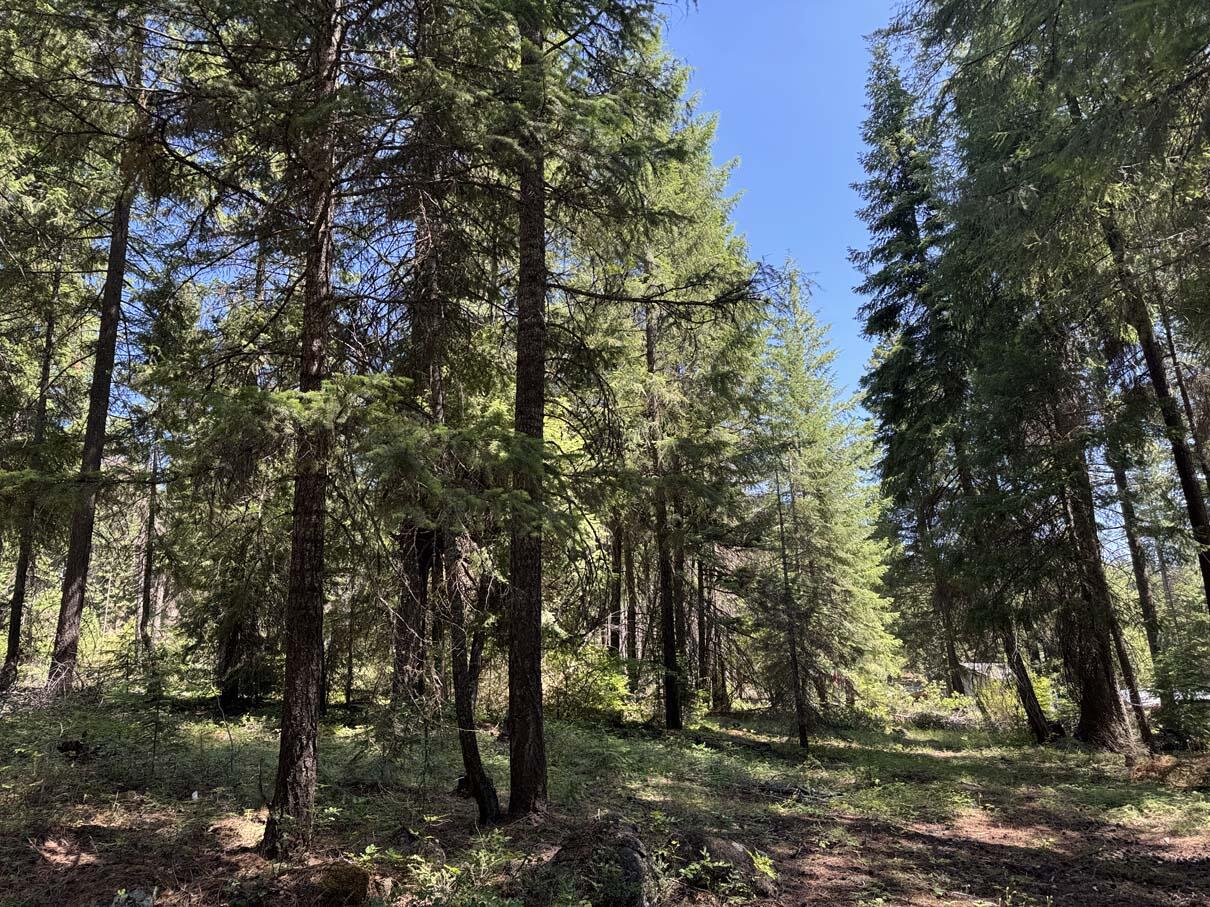 Harriman Park - Land