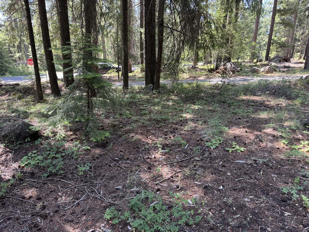 Harriman Park - Land