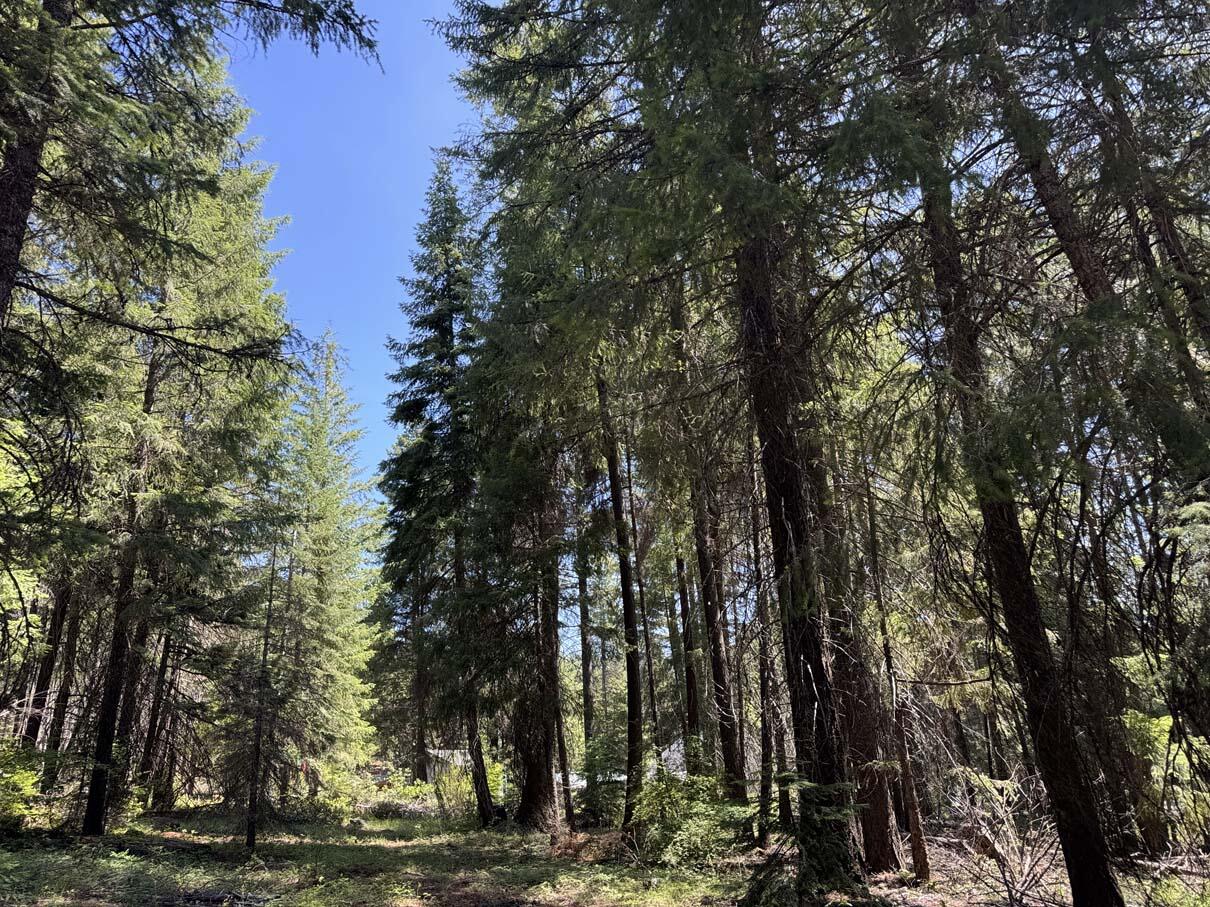 Harriman Park - Land