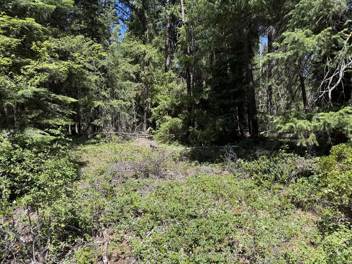 Harriman Park - Land