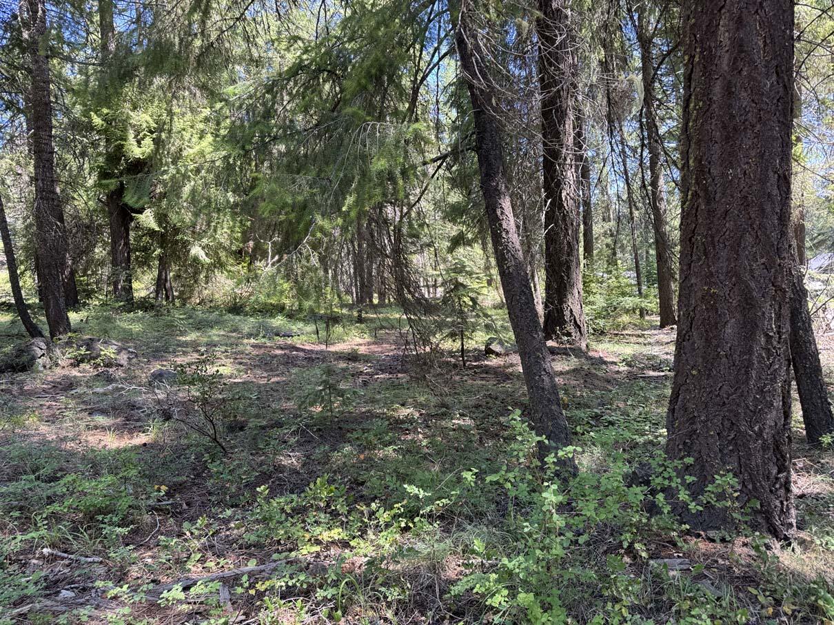 Harriman Park - Land