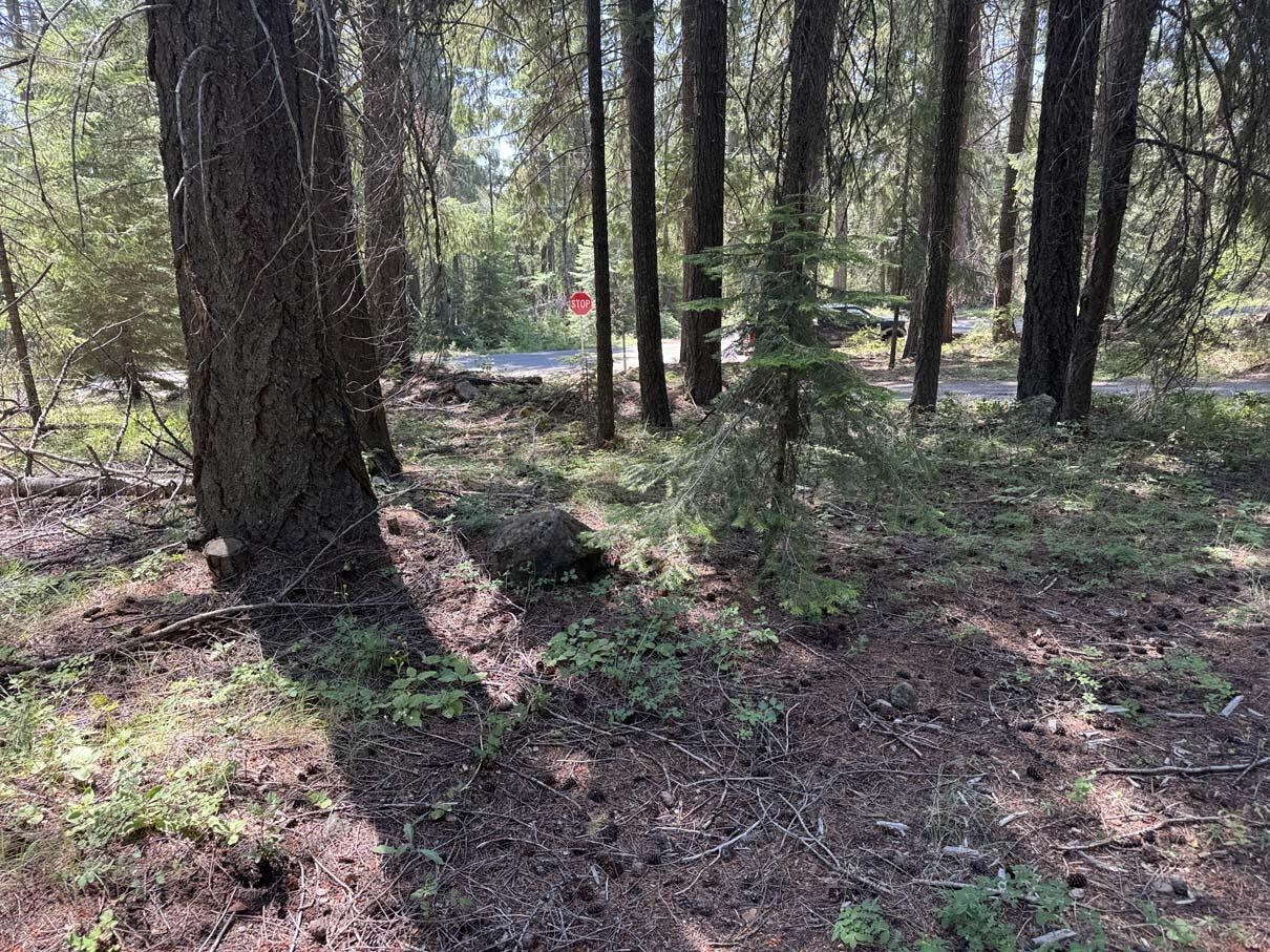 Harriman Park - Land