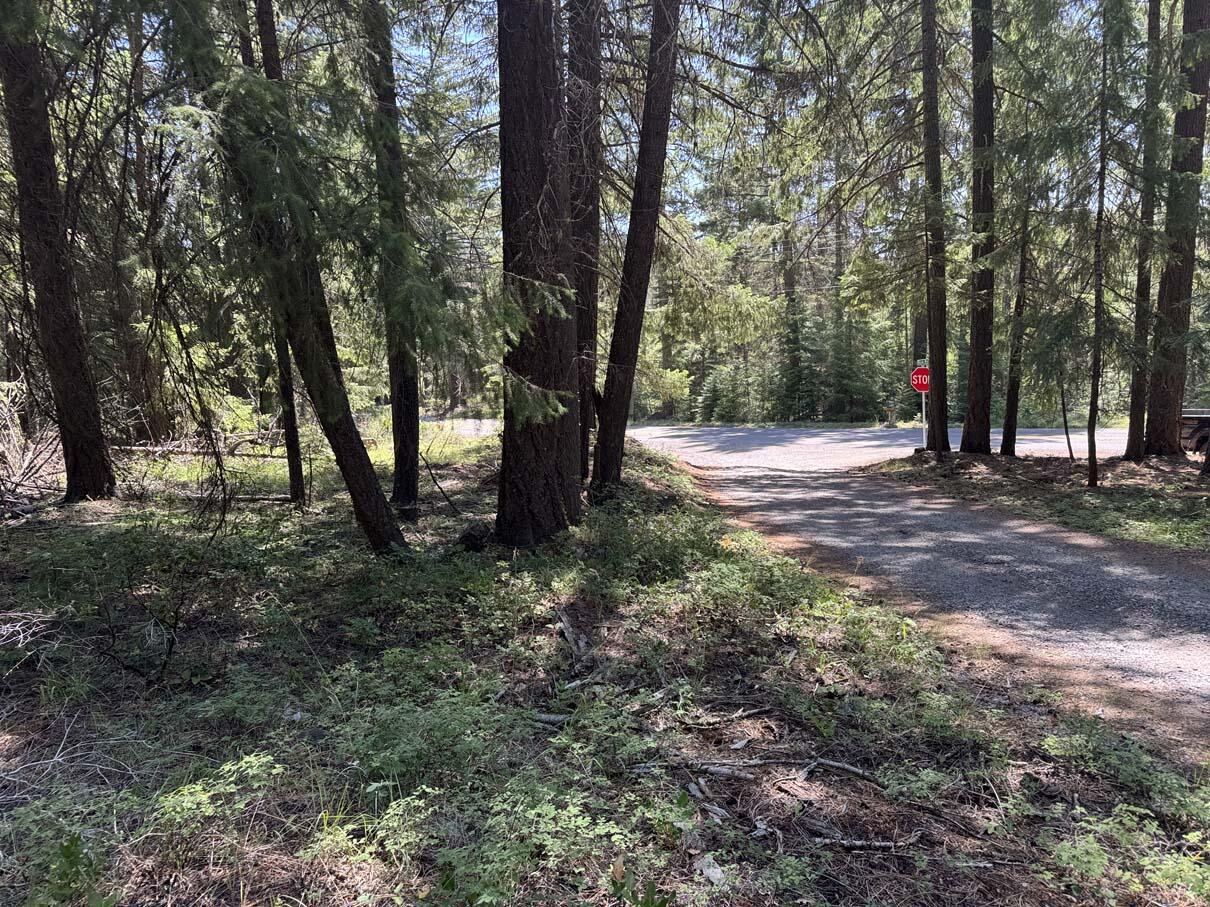 Harriman Park - Land