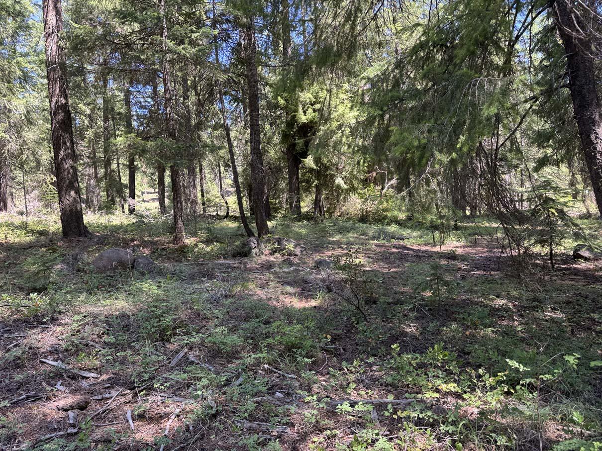 Harriman Park - Land