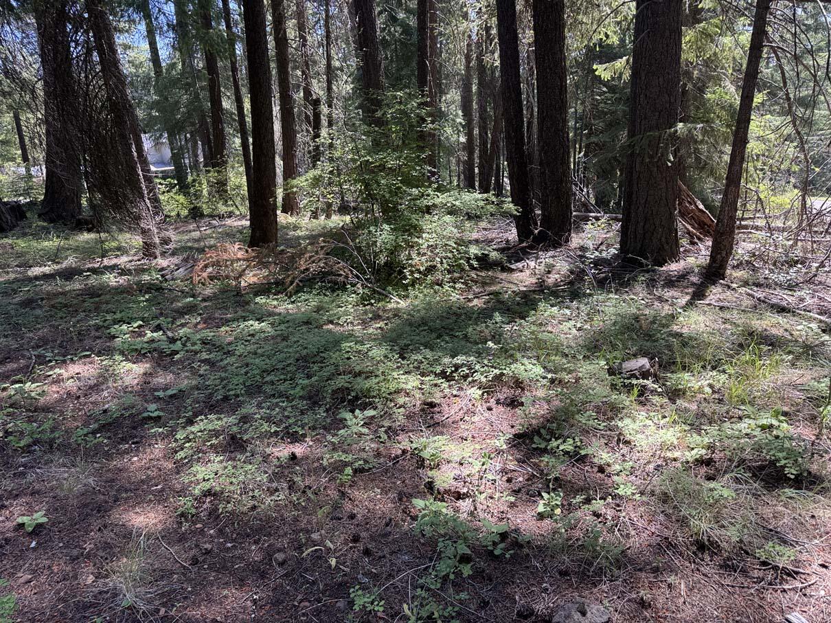 Harriman Park - Land