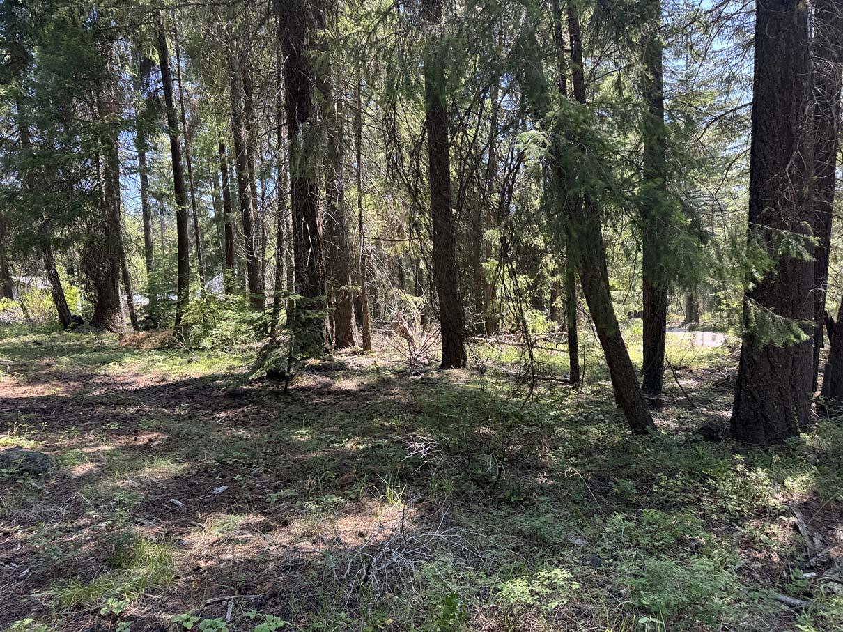 Harriman Park - Land