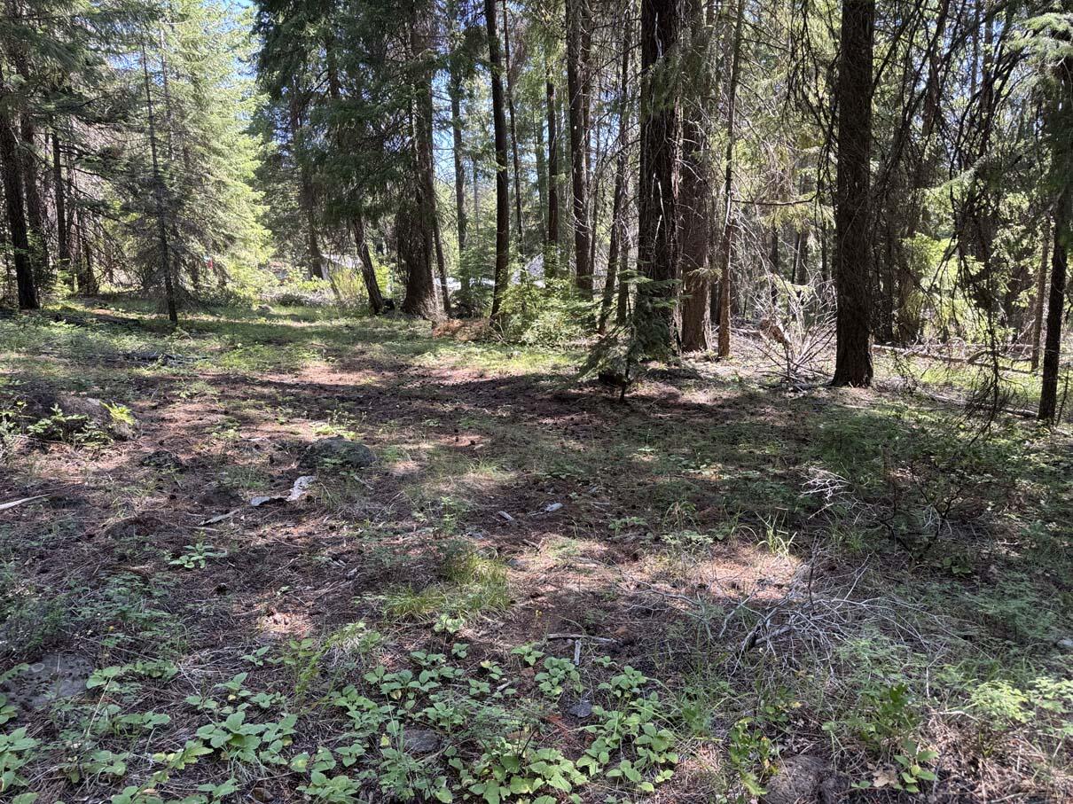 Harriman Park - Land