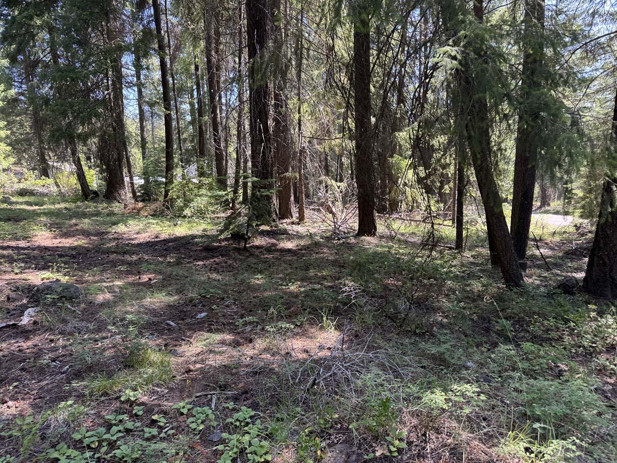 Harriman Park - Land