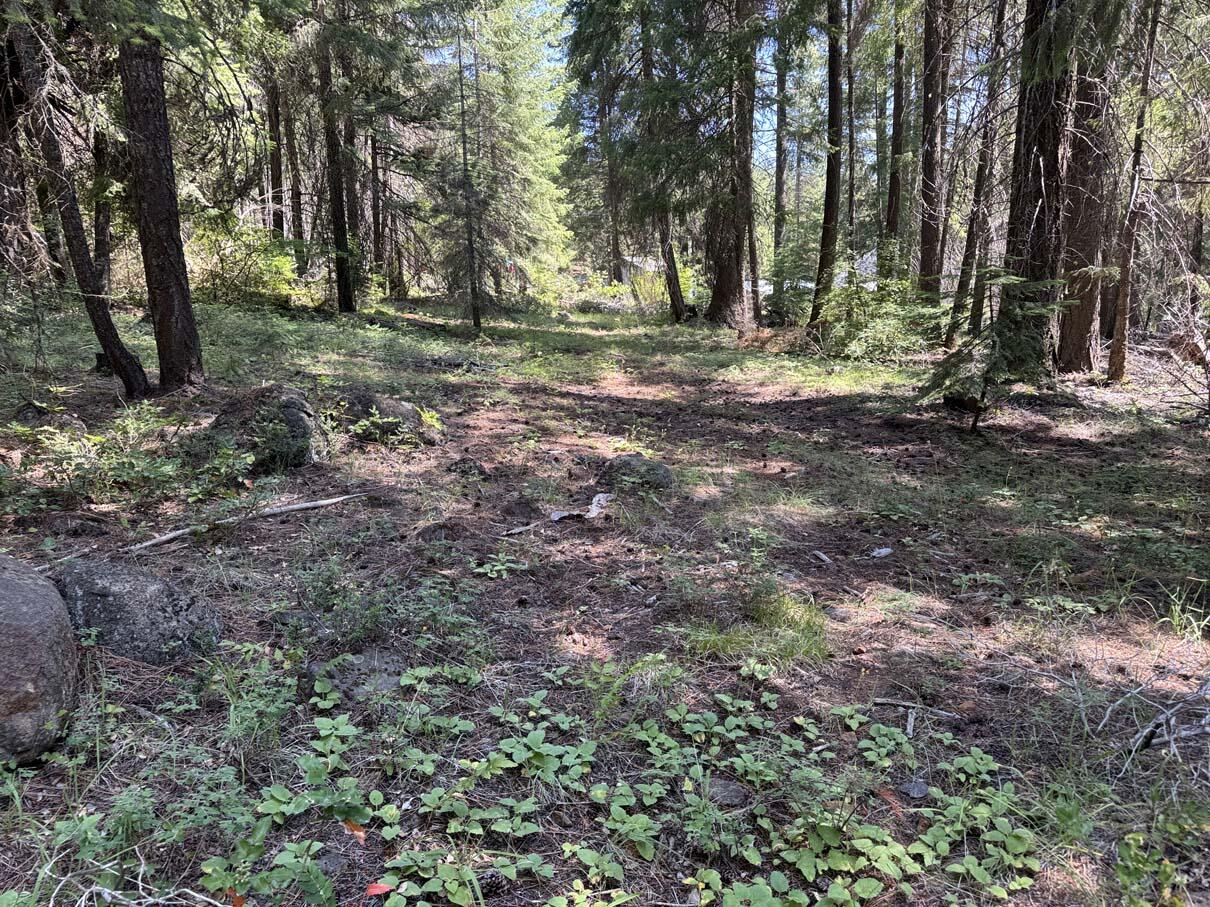 Harriman Park - Land