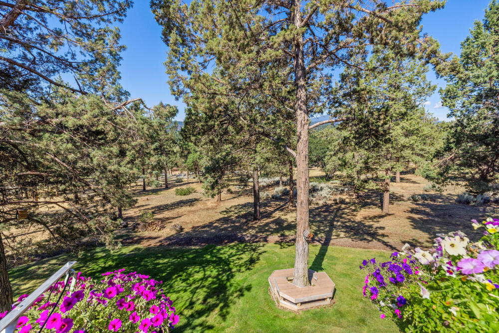 Running YResort - Residential