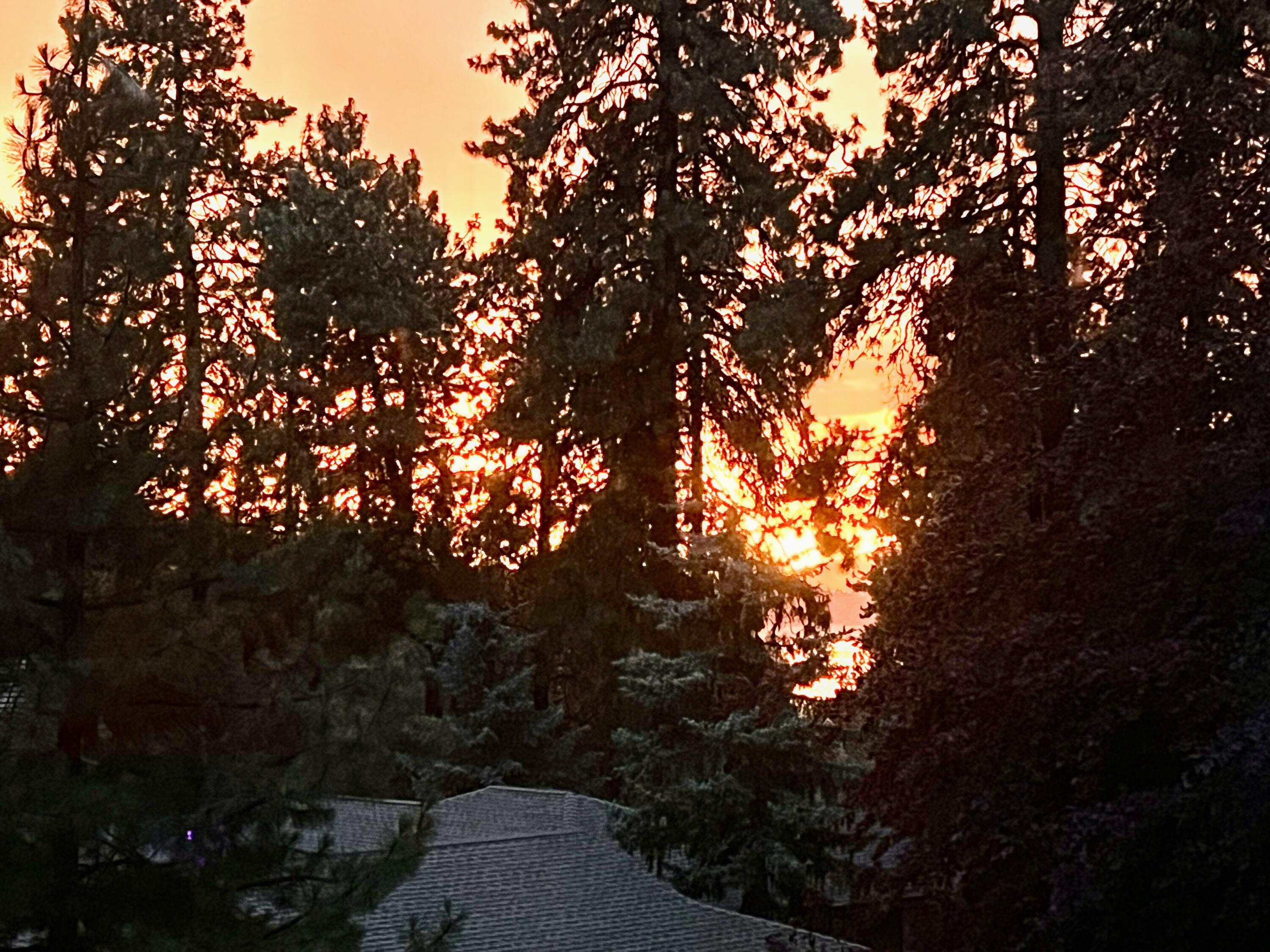 Lynnewood - Residential