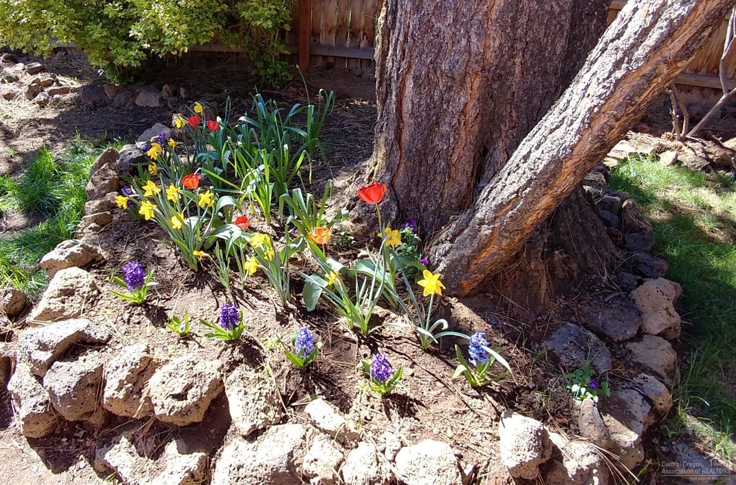 Old Mill Estate - Residential