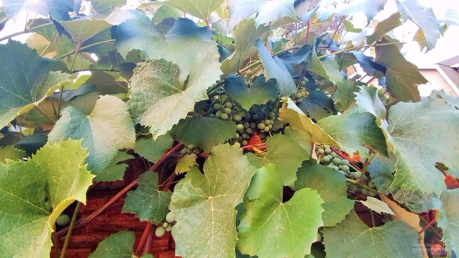 Old Mill Estate - Residential