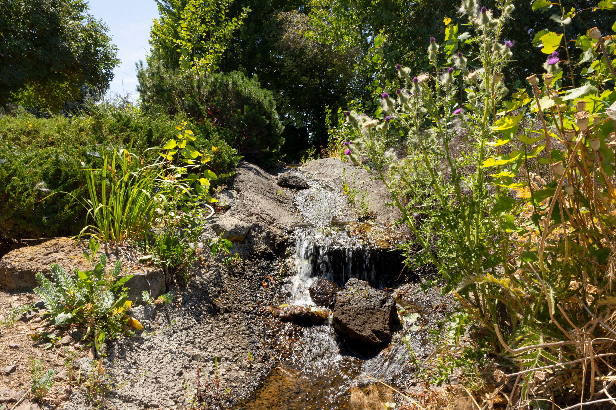 Aspen Creek Mob Pk - Residential