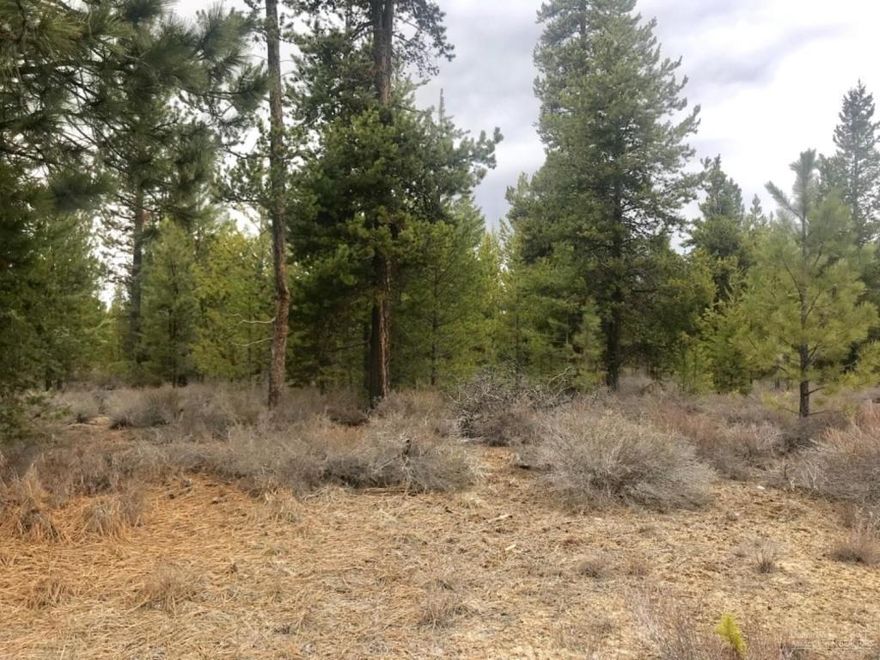 Here is Your Opportunity to Build your Home on 5+ acres. Area of Septic and Wells. Not Many 5 Acre Parcels are available, so don't miss out.