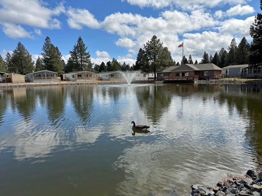 The Pines - Residential