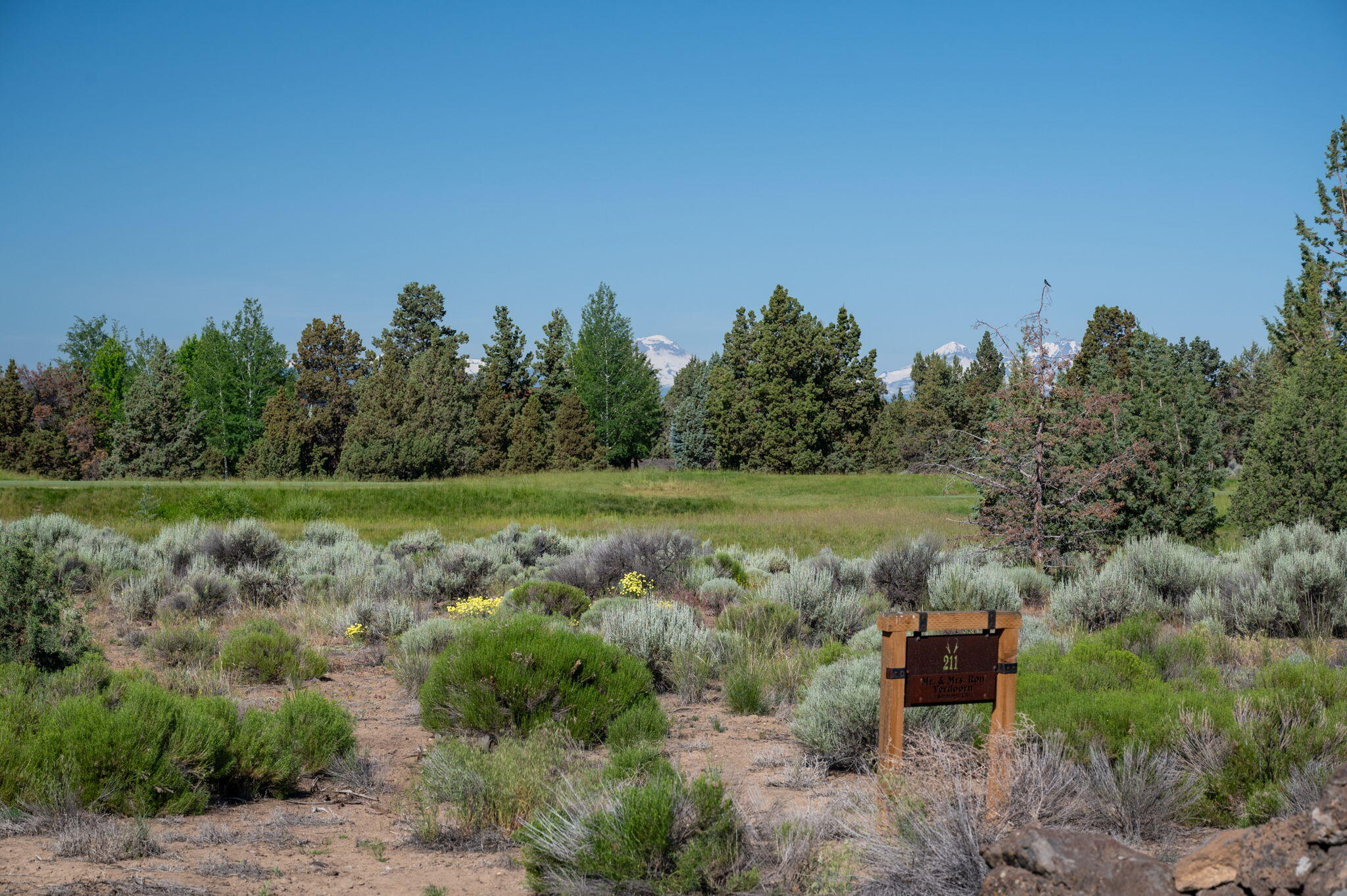 66325 Pronghorn Estates Drive Lot #211