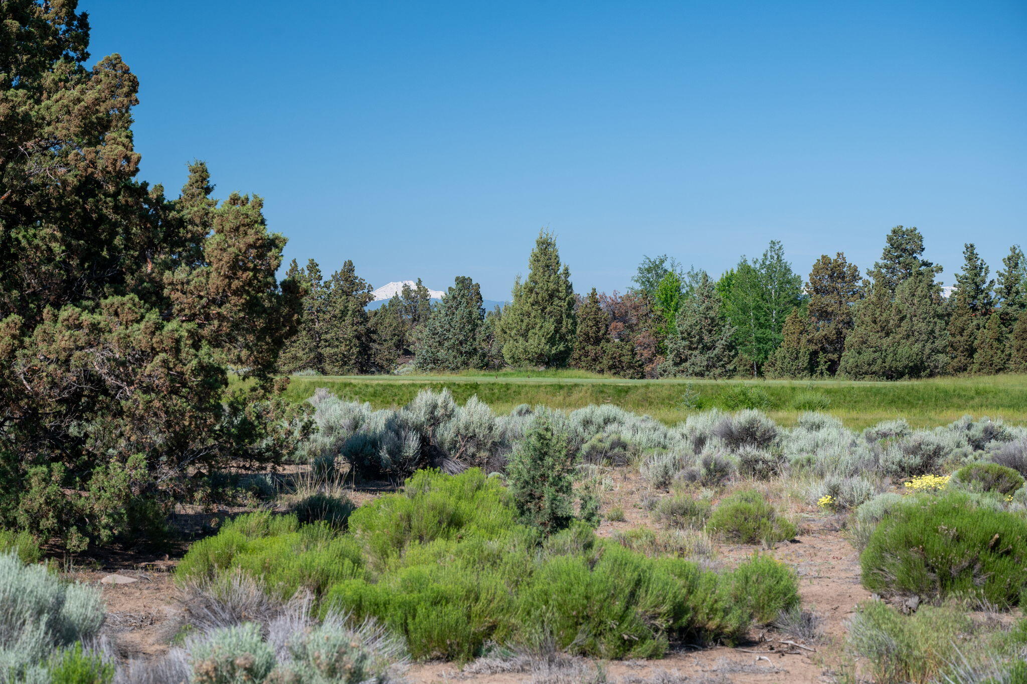 66325 Pronghorn Estates Drive Lot #211