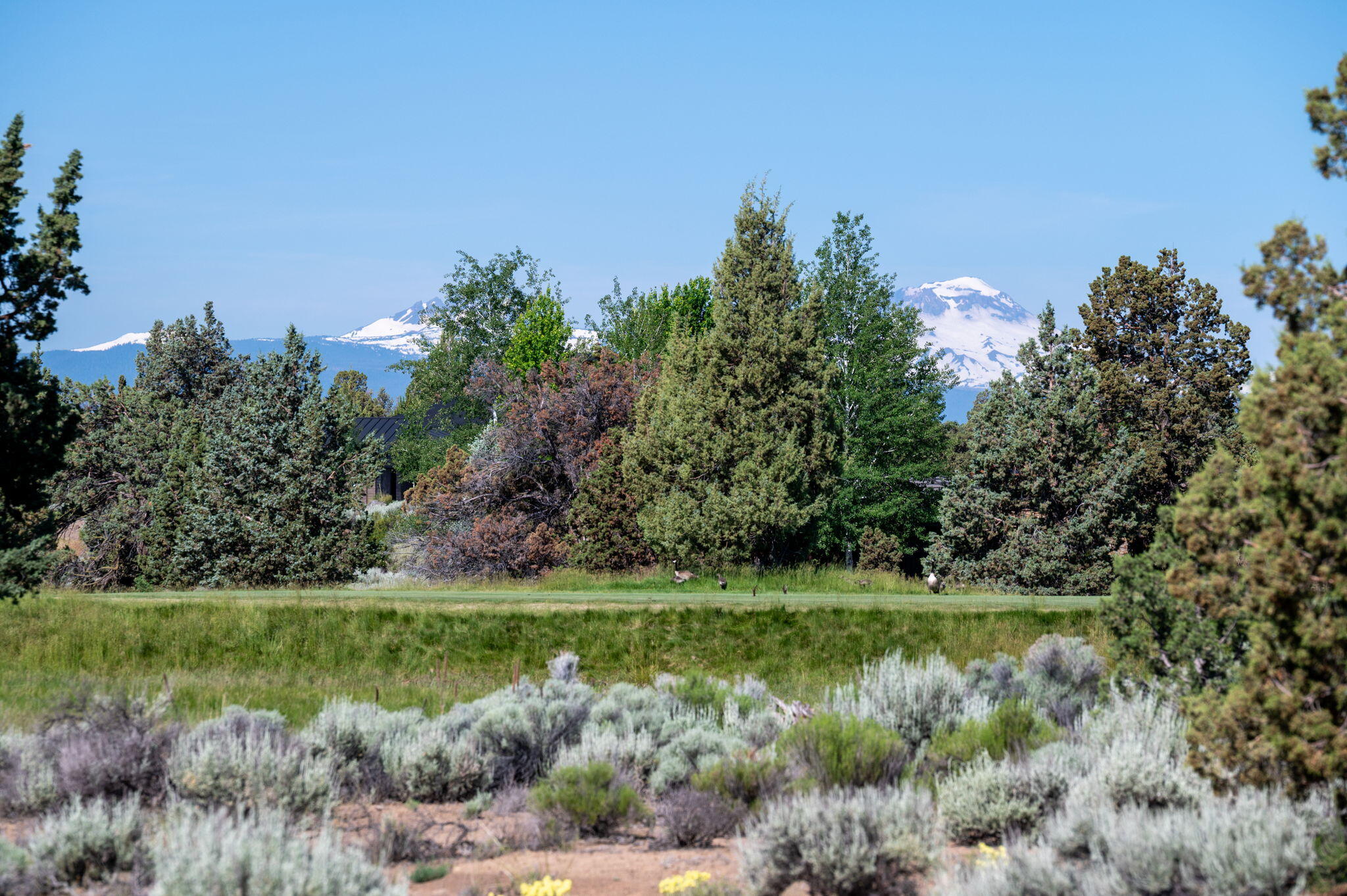 66325 Pronghorn Estates Drive Lot #211