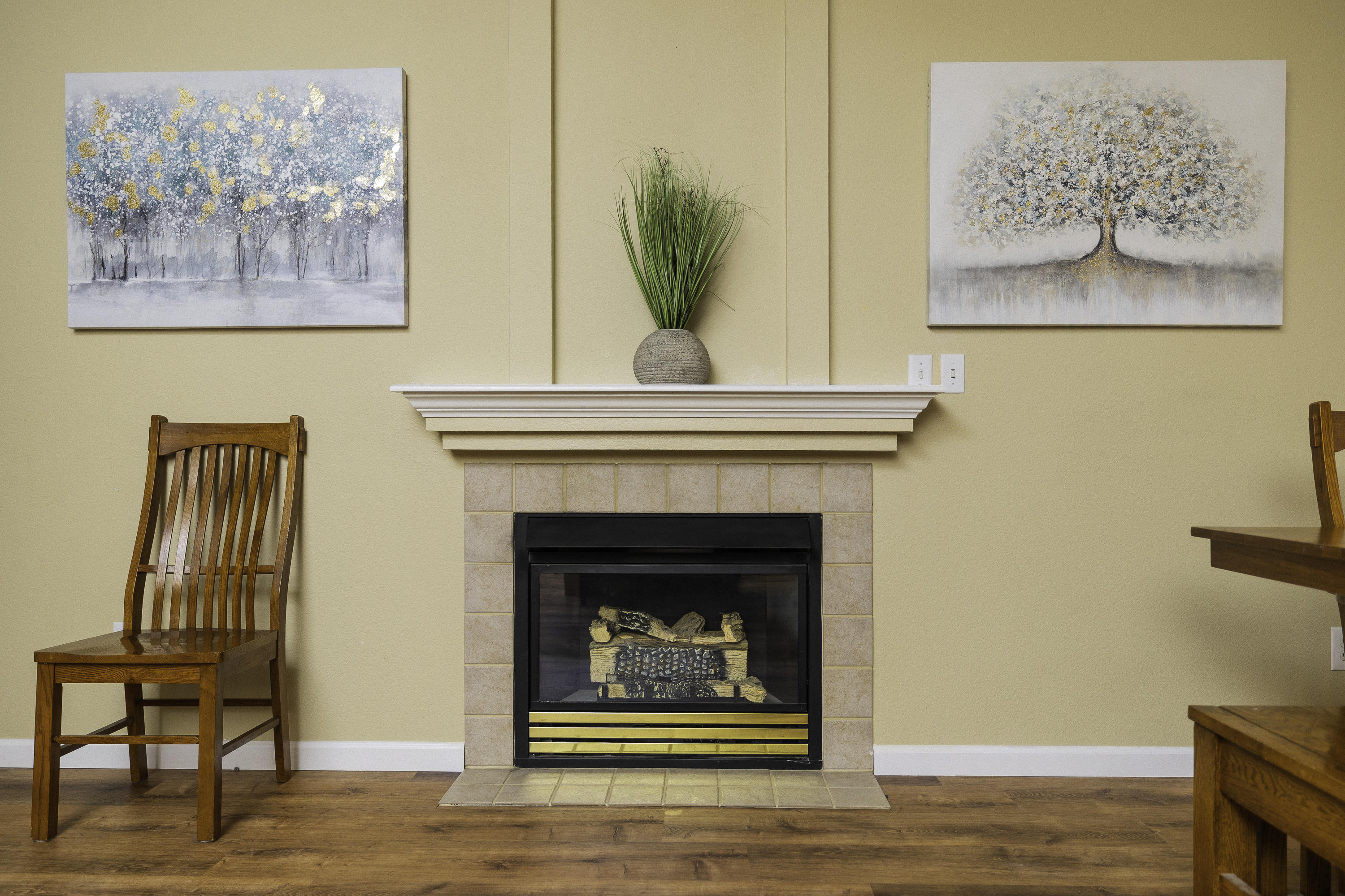 Canyon Point - Residential