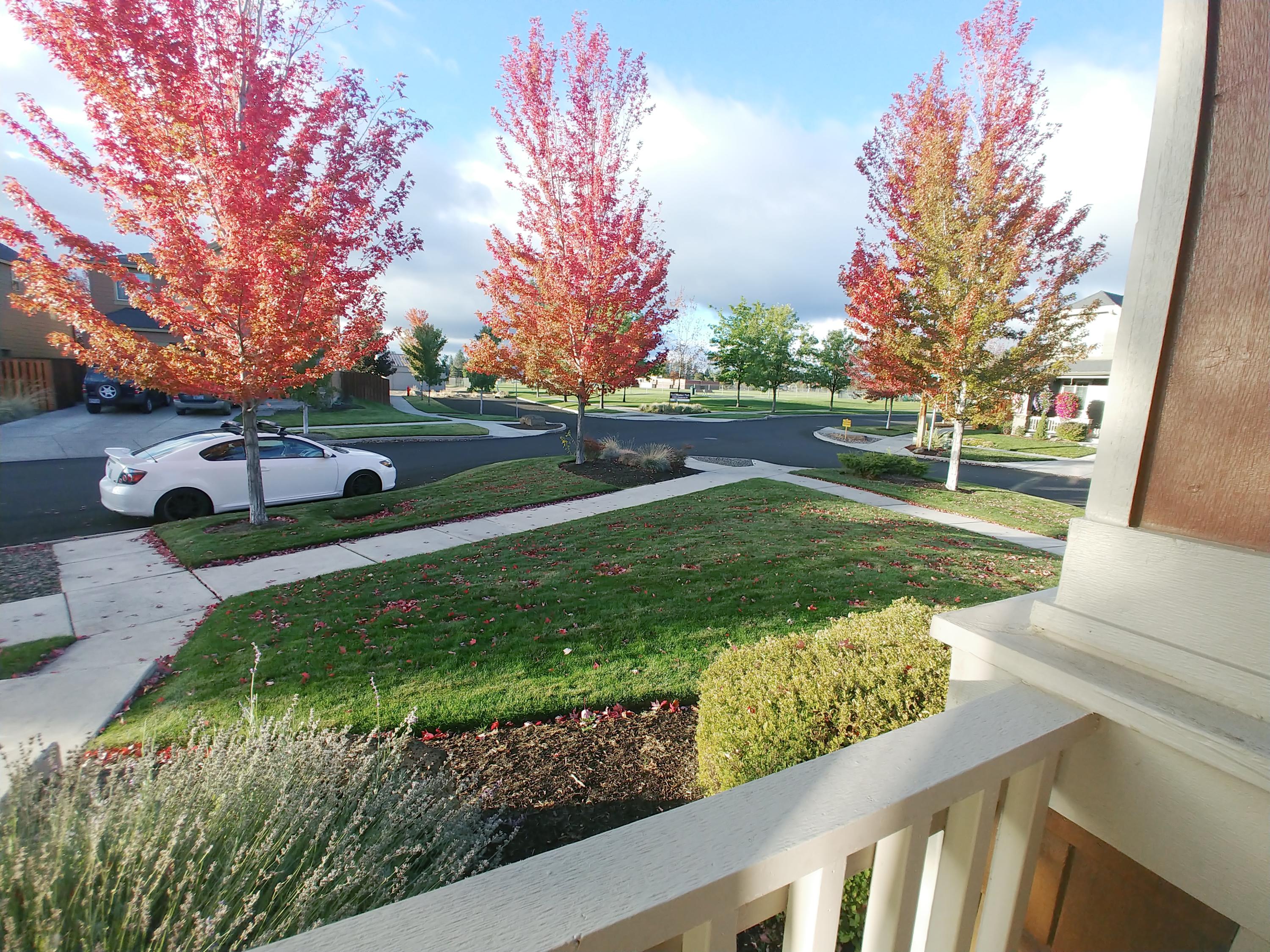 Sun Meadow - Residential