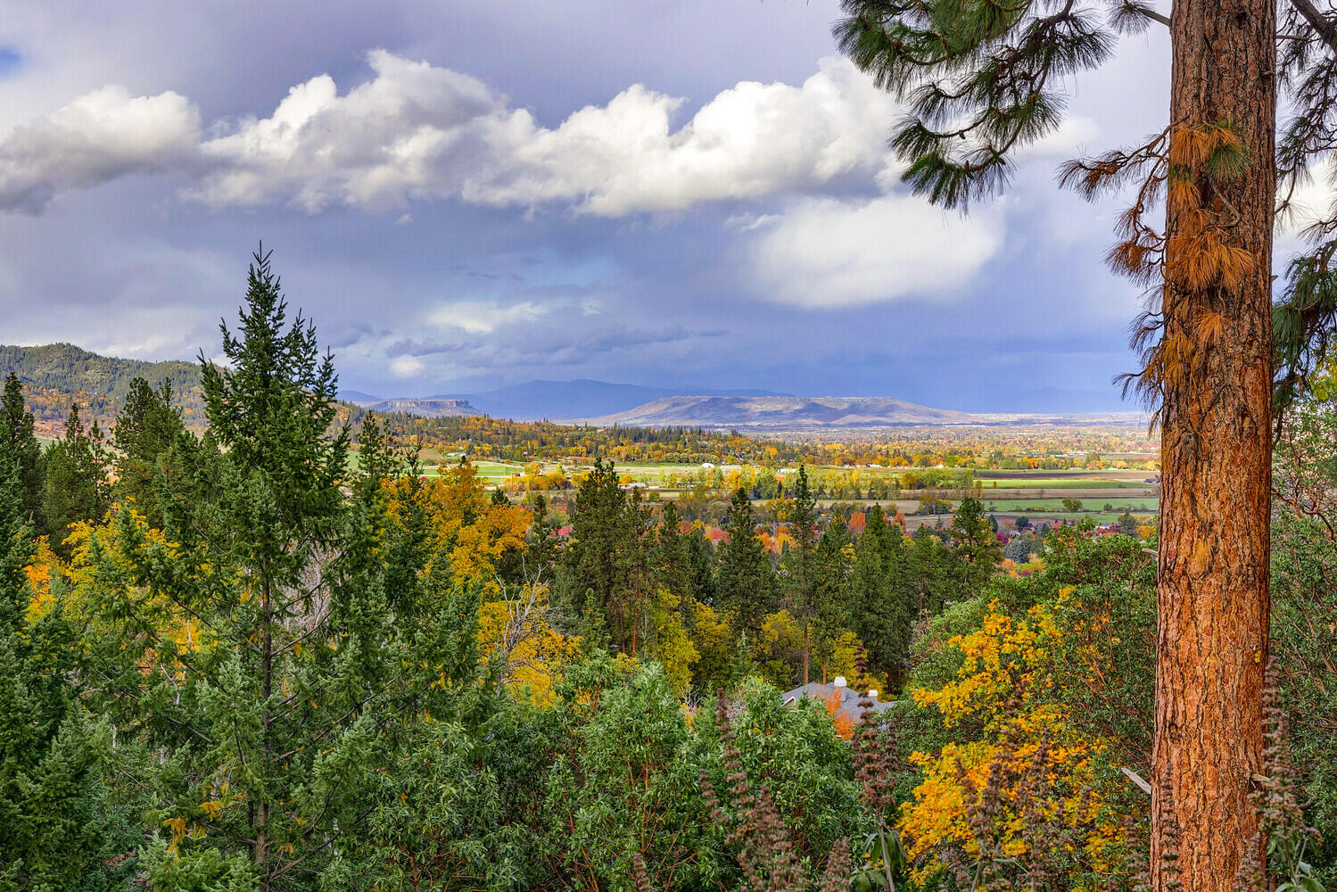 Coachman Hills Subdivision - Residential