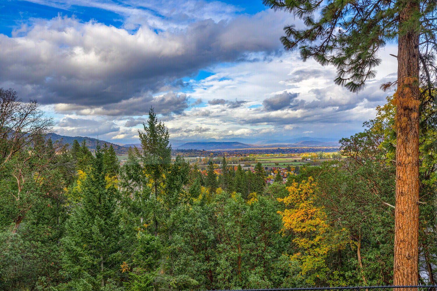 Coachman Hills Subdivision - Residential