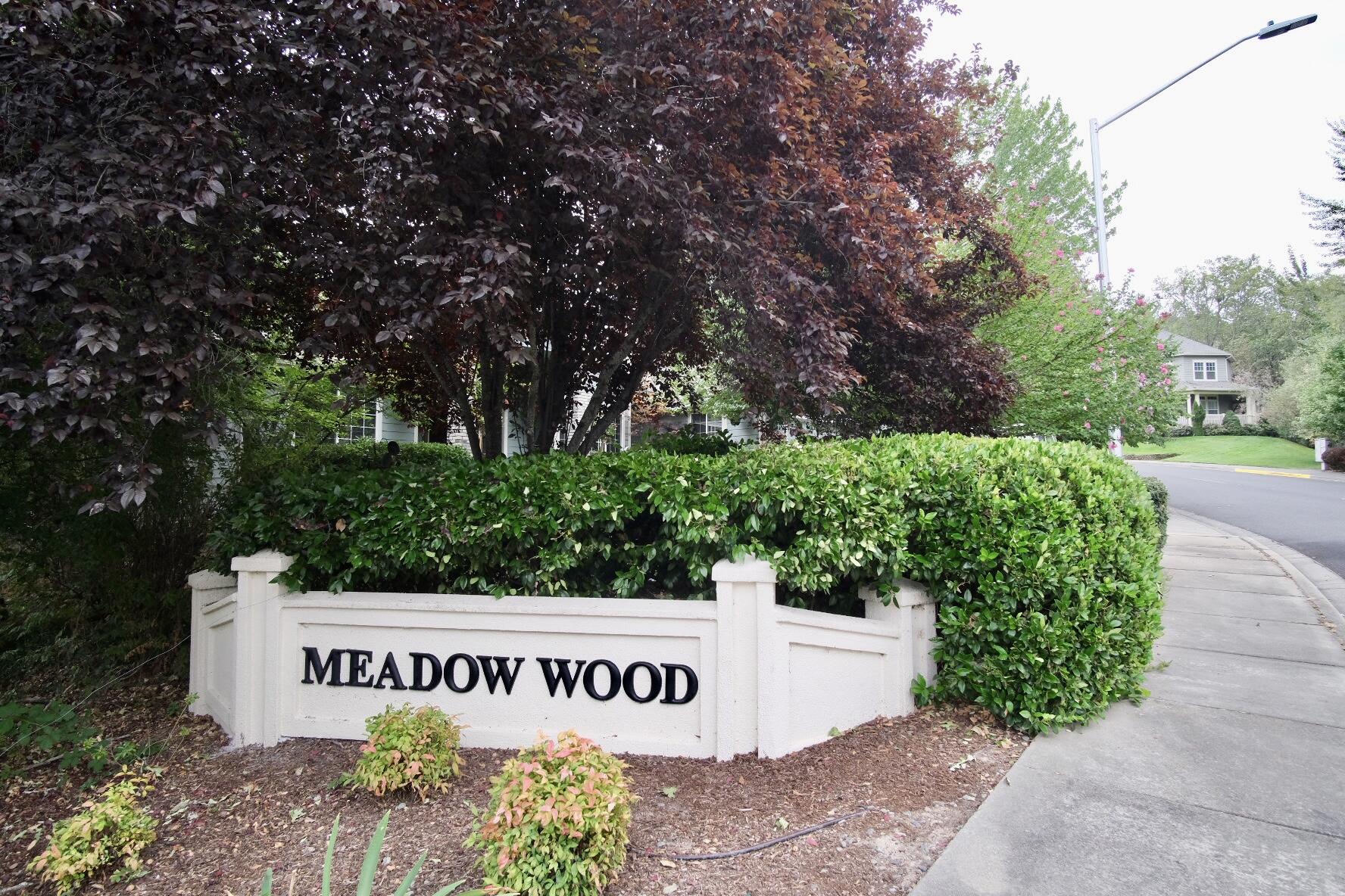 Meadow Wood Subdivision - Residential