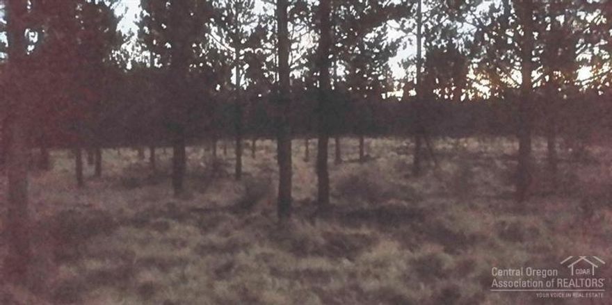 Great RV lot close to the Big Deschutes River and community boat launches, near the Sunriver and Caldera Spring resorts, the Cascade Lakes, US Forest land and Mt. Bachelor for lots of recreational fun: hunting, fishing, ATVing, snowmobiling, boating, golf, mountain biking, hiking & horseback riding trails, rafting and much more! Lots of wildlife frequent the area!