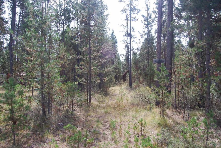 Ready-to-go wooded homesite in the river community of Oregon Water Wonderland. Water and sewer hooked up. Use the small shed on site for storing your tools, lawn chairs, etc. Level, pine covered, five blocks from the community boat ramp and marina.