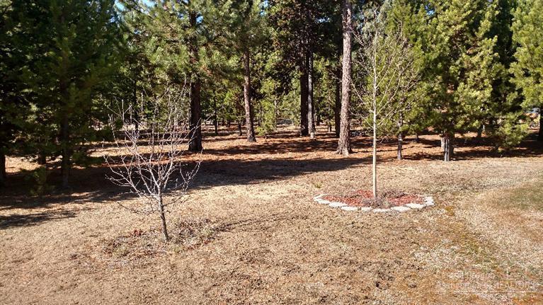 Tall Pines - Residential