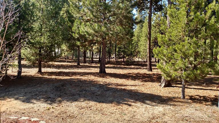 Tall Pines - Residential