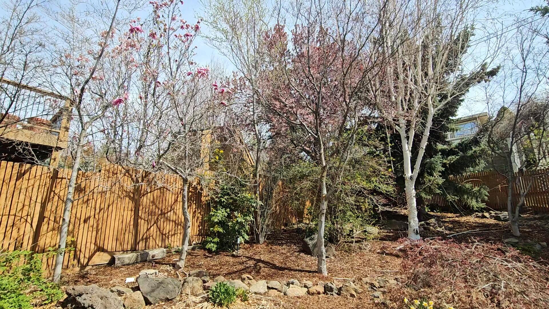 Loma Linda Heights - Residential