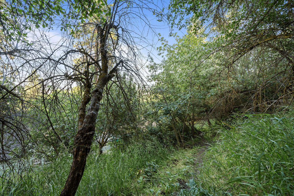 Lake Shore Gardens - Residential