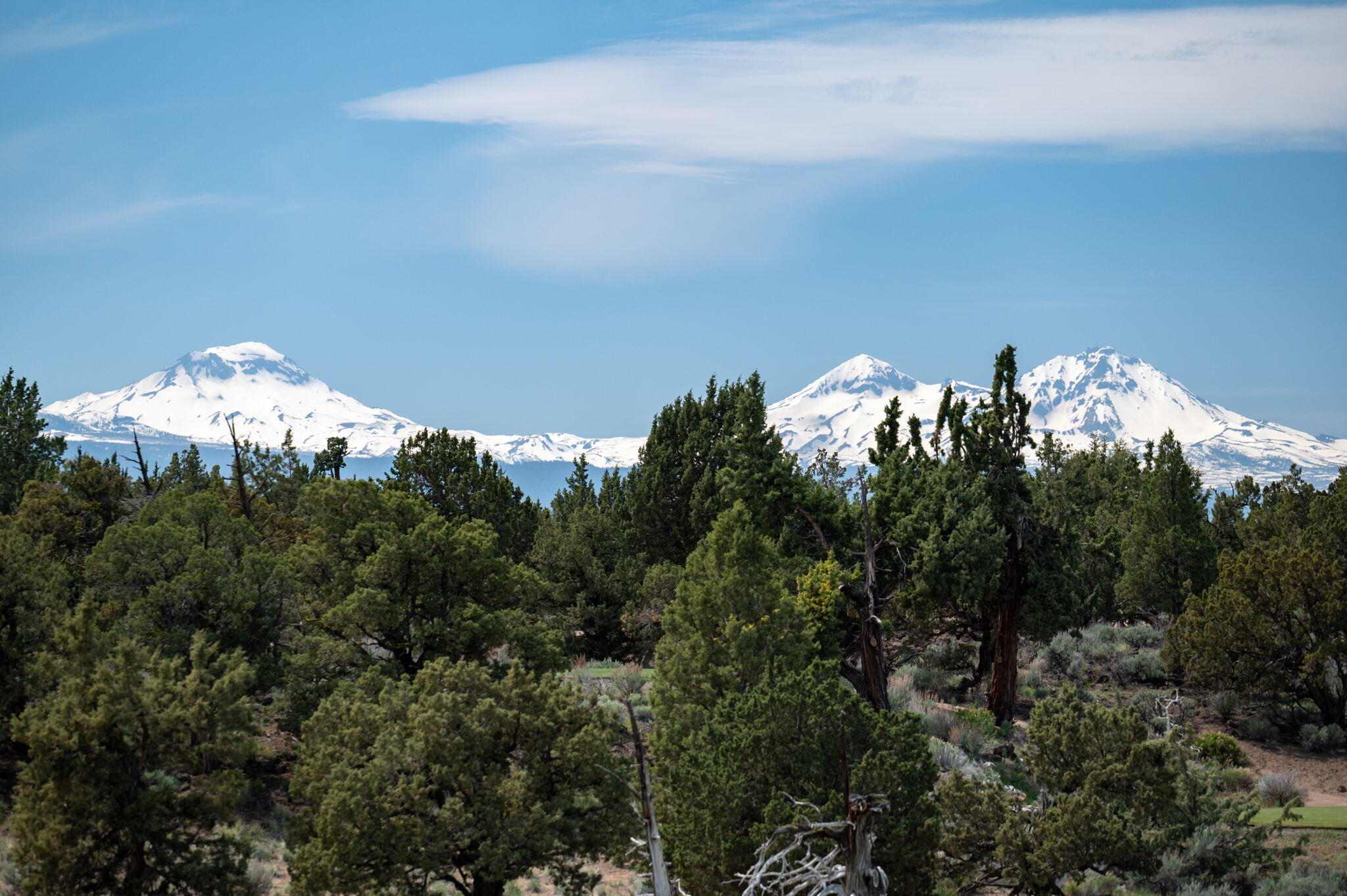 Pronghorn - Residential