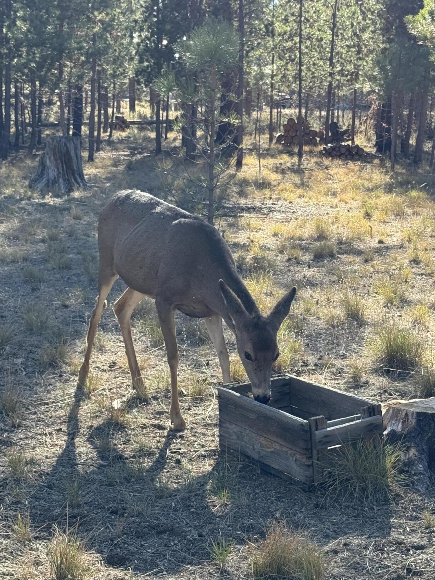 Wagon Trail Acreages - Residential