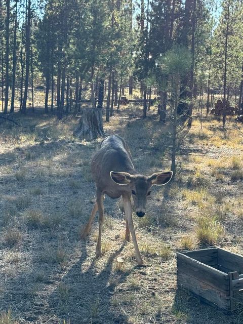 Tiny photo for 152038 Conestoga Road, La Pine, OR 97739 (MLS # 220211486)