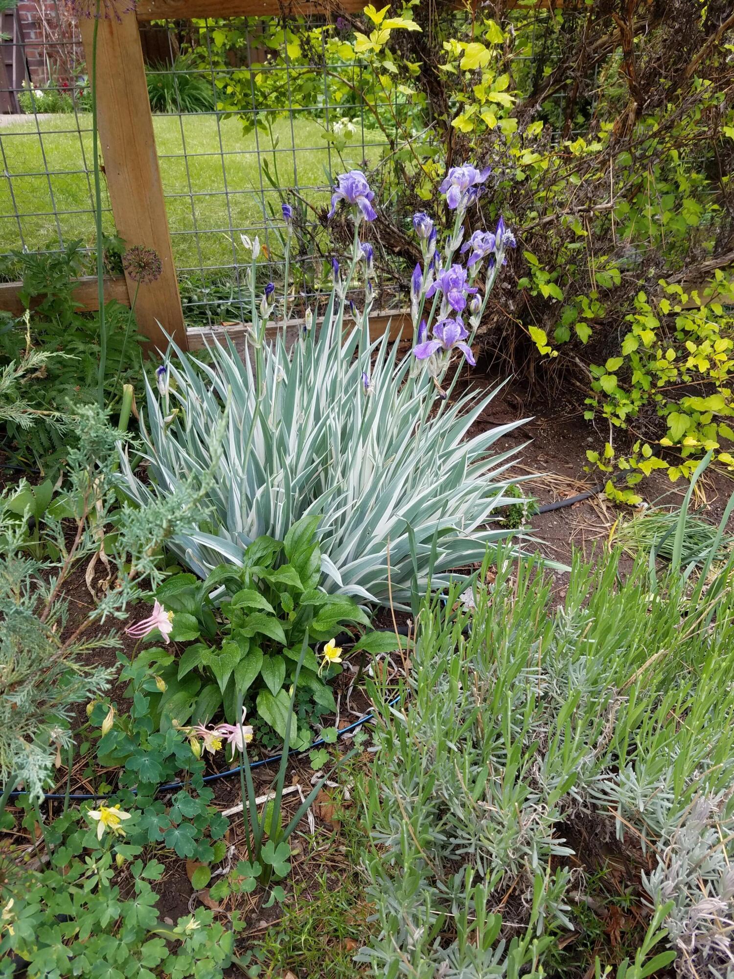 Bonne Home - Residential