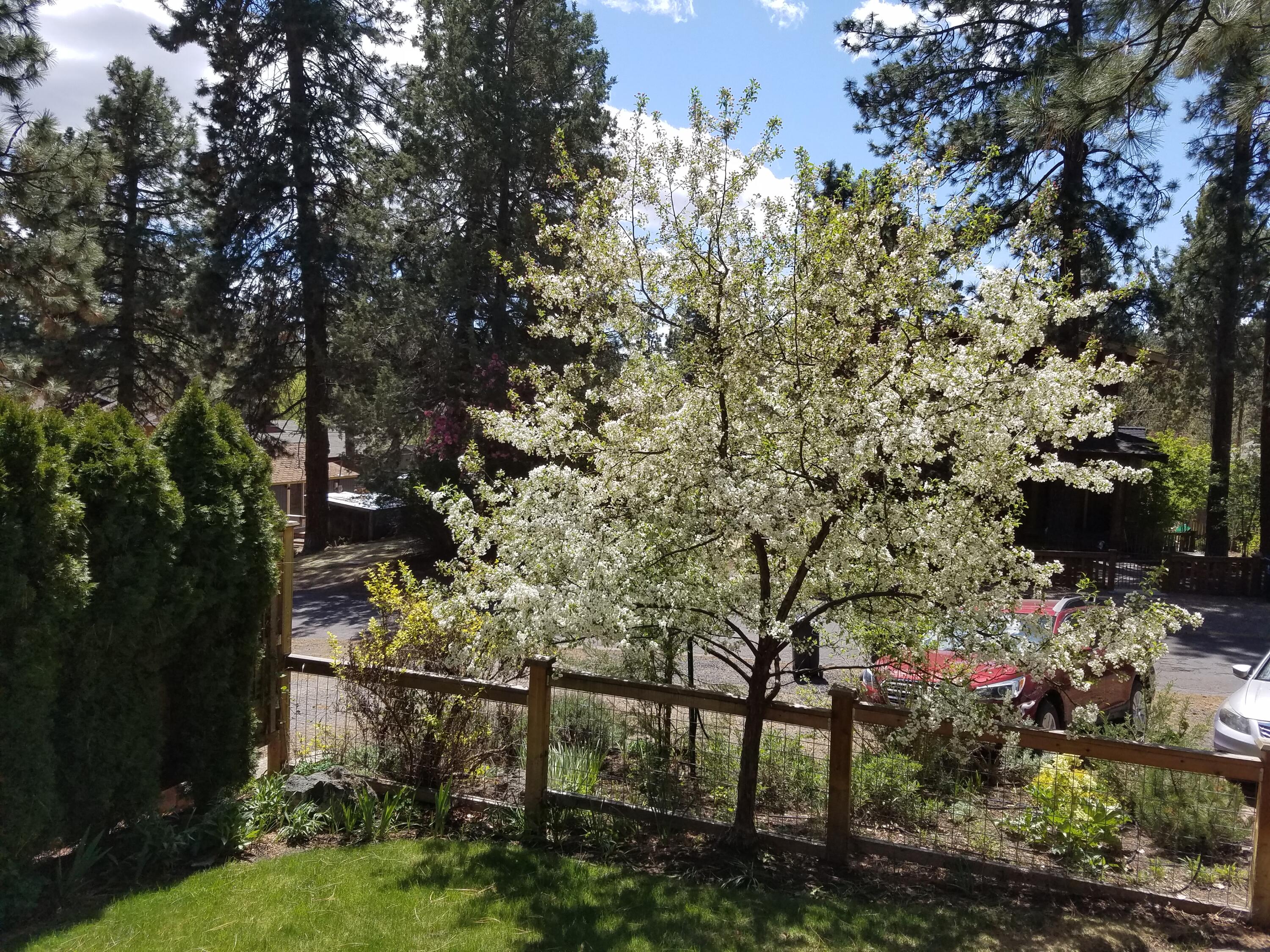 Bonne Home - Residential