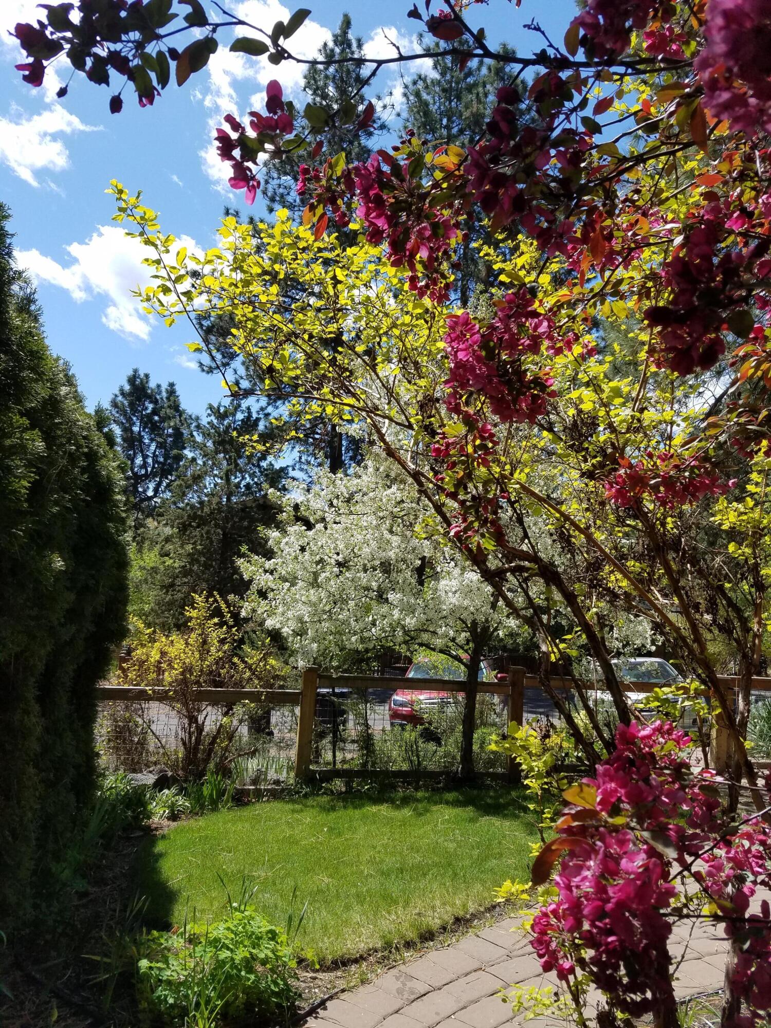 Bonne Home - Residential