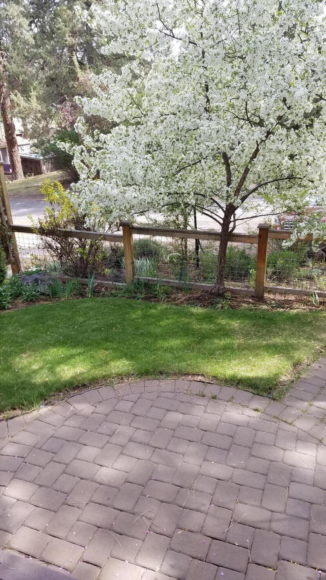 Bonne Home - Residential