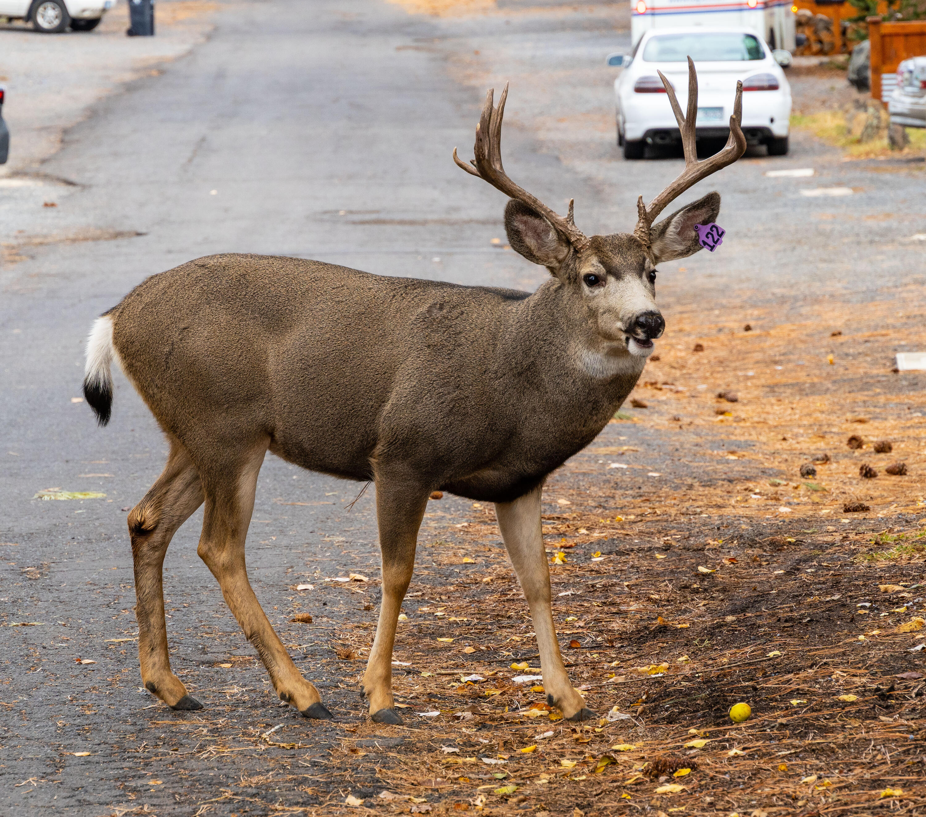 Bonne Home - Residential