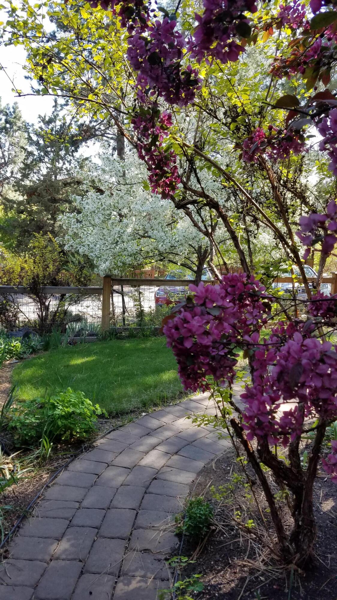 Bonne Home - Residential