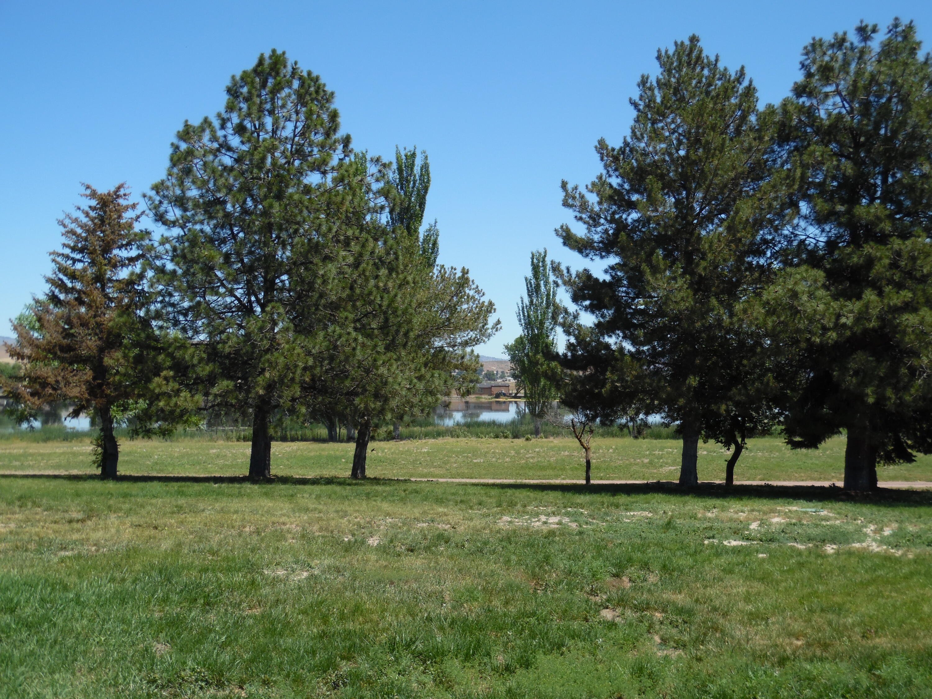 Henley Acres - Residential