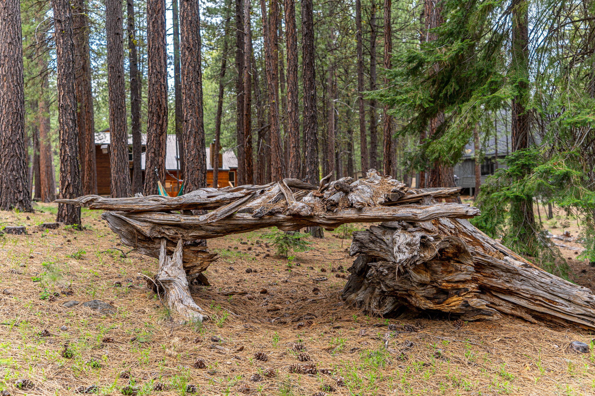 Black Butte Ranch - Residential
