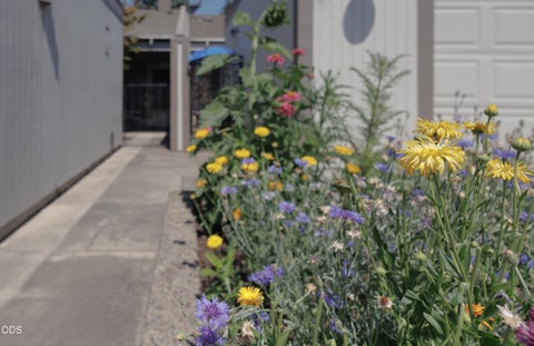 Tiny photo for 228 Mount Echo Drive, Medford, OR 97504 (MLS # 220226535)