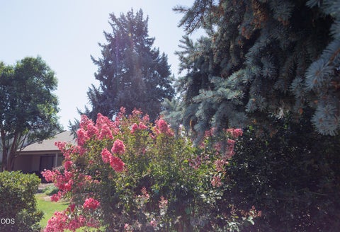 Tiny photo for 228 Mount Echo Drive, Medford, OR 97504 (MLS # 220226535)