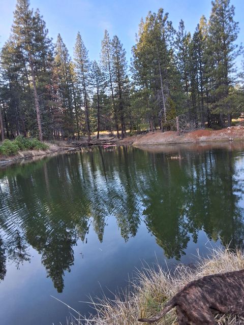 Tiny photo for 15922 Green Springs Highway, Ashland, OR 97520 (MLS # 220215130)