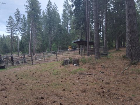 Tiny photo for 15922 Green Springs Highway, Ashland, OR 97520 (MLS # 220215130)